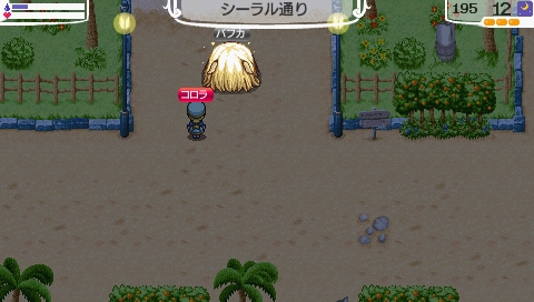 NALULU_SS_1800.jpeg
