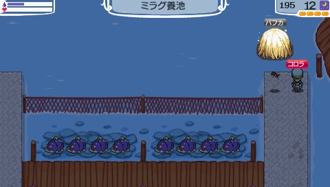 NALULU_SS_1807.jpeg
